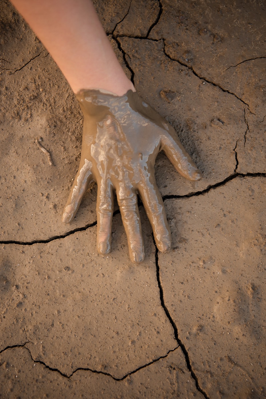 A hand pressed into cracked, sun-warmed mud